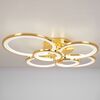Modern LED ceiling lamp Art Deco Modern gold for the living room of the bedroom CERCHIO