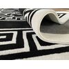 A modern black and white rug MEDUZA