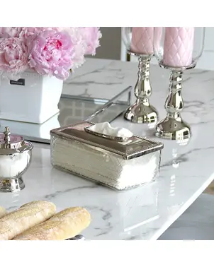 Handkerchief holder silver