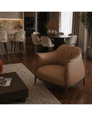 Designer, modern, luxurious armchair for the living room or study room, BENTLEY [CLONE]