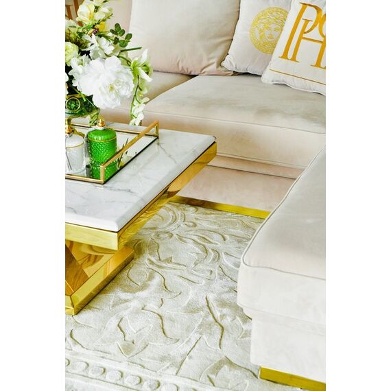 Exclusive carpet for the dining room and living room, classic, gray, beige ORNAMENT