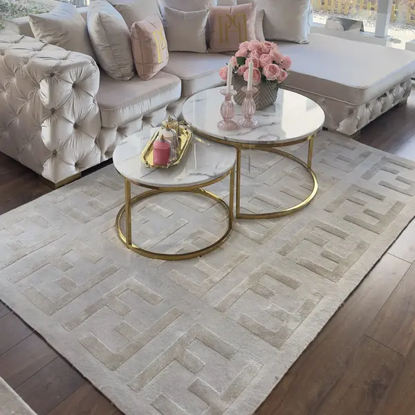 Modern glamorous carpet for the living room, designer, FASHION BEIGE