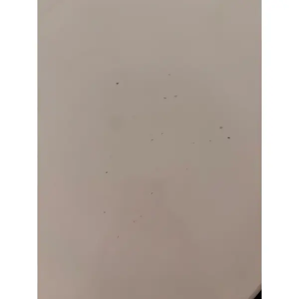 Ekskluzywny biały stół rozkładany do jadalni glamour ELENA OUTLET