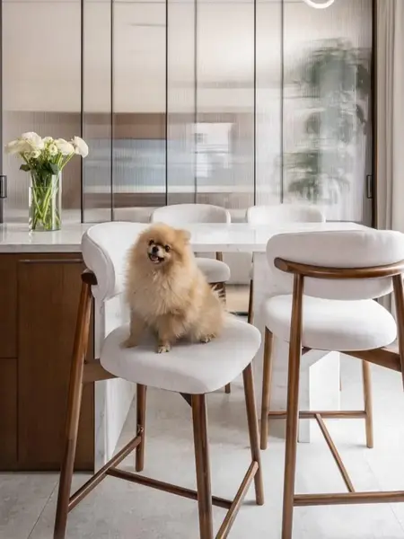 Stylowa ekspozycja w salonie, Designerski Hoker Drewniany Olivia – Krzesło Barowe od Primavera Home.