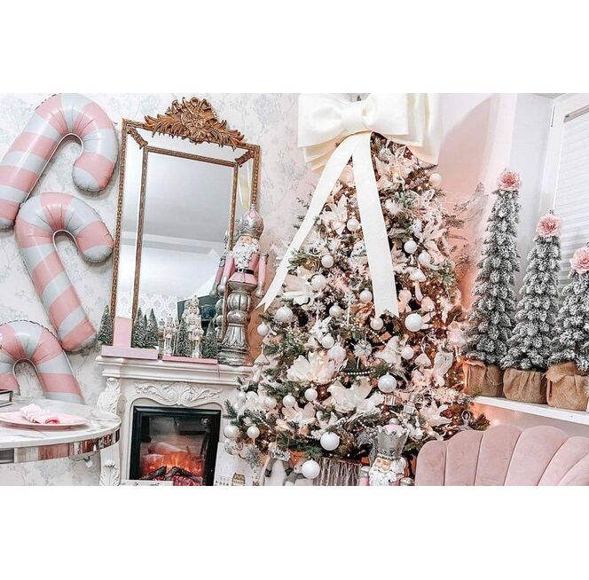 Winner of the Competition 2023