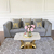 Velvet upholstered sofa modern in a glamor style for the living room gray gold MONTE CARLO